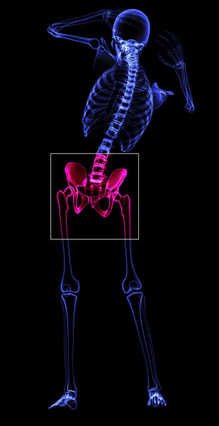 Dr Dan Albright hip replacement surgery